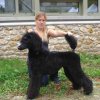 foire-haricots 2011-09-17et18